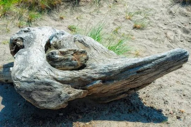 Enter/Locked Escape Rooms