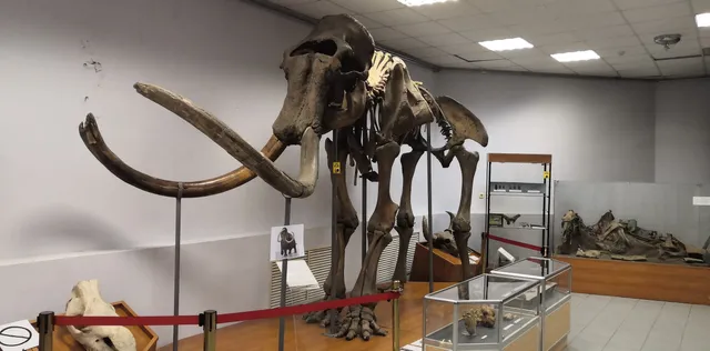 Yakutsk Regional History Museum