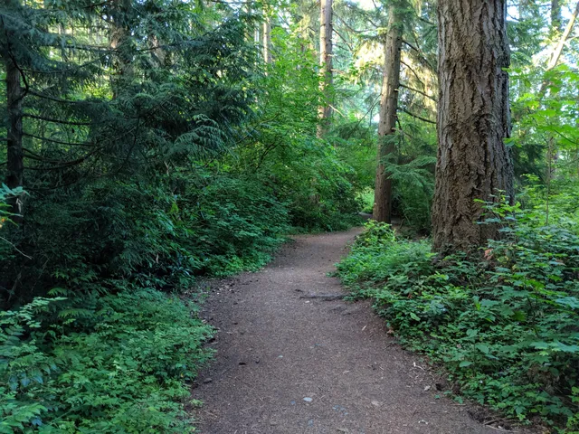 McCollum Park Athletic Field