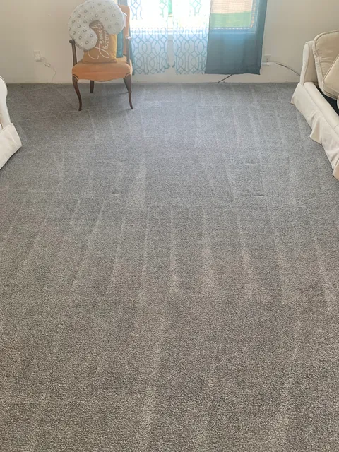 Mr. Magic Carpet Cleaning