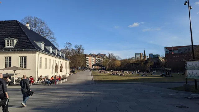 photo-1
