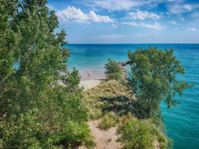 Gillson Park Dog Beach