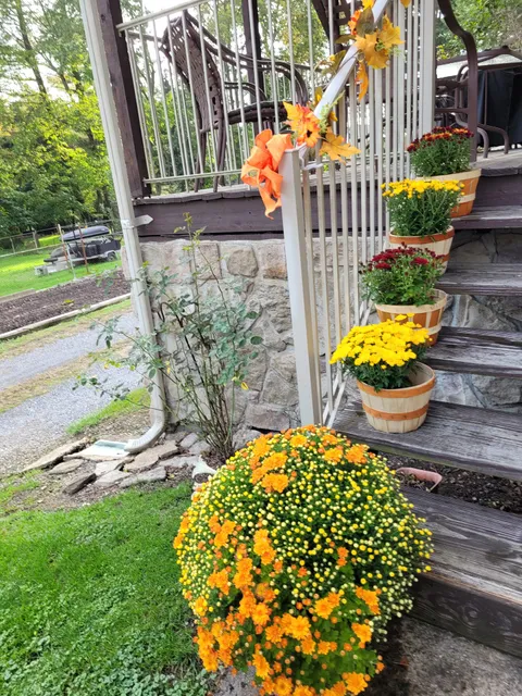 Williams Valley Farms , LLC