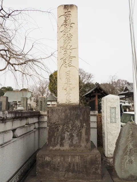 photo-1