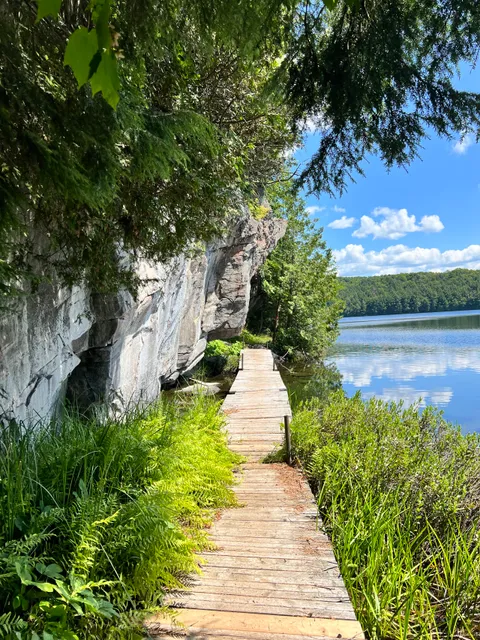 Limberlost Forest and Wildlife Reserve