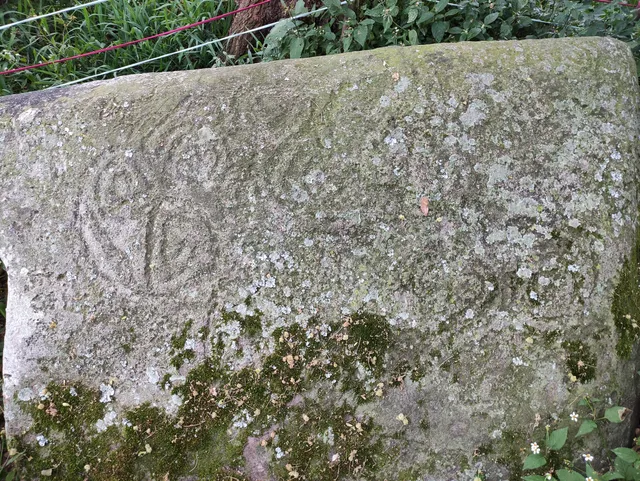 Parque Petroglifos Itagui, Petroglyphs