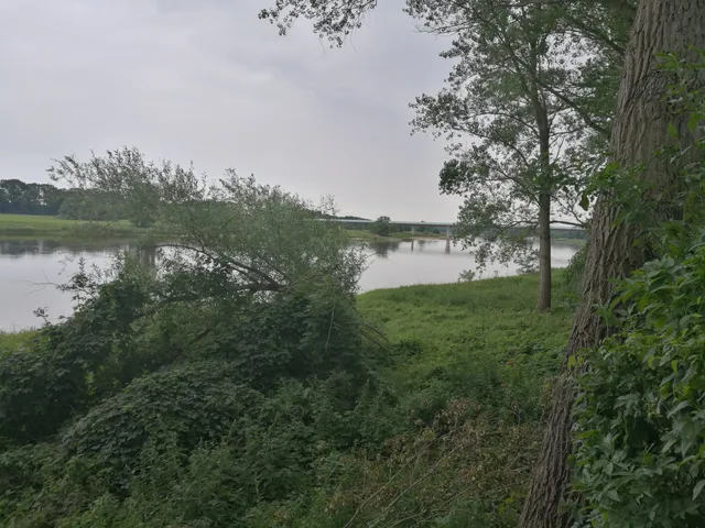 Bürgerpark Salineinsel