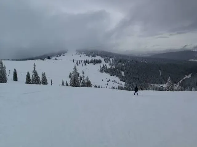 Domeniul Schiabil Sureanu