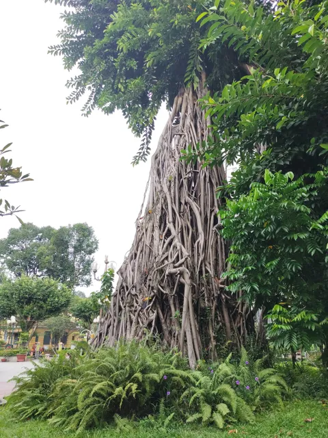 Bach Tung Diep Park