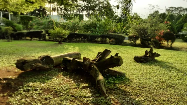 Jhalobia Landscaping Company and Botanical Garden in Lagos,Nigeria