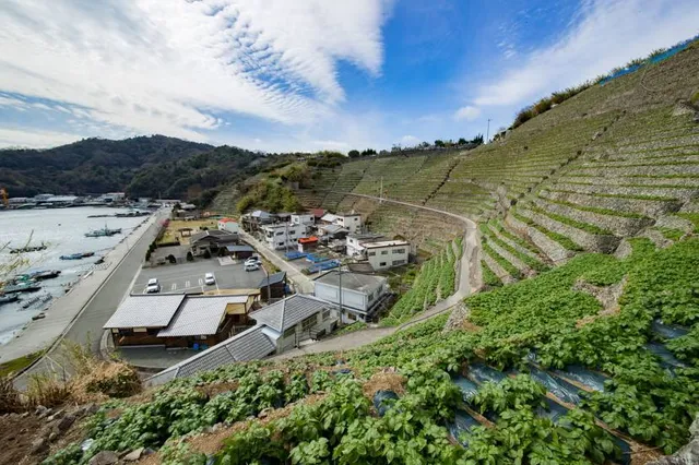 Mandalika Beach Park