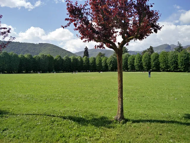 Parco Montecchio