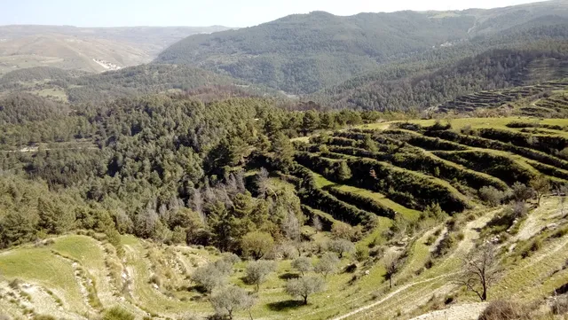 Parco Forestale Canalazzo