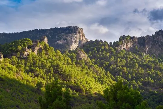 Sierra de las Nieves