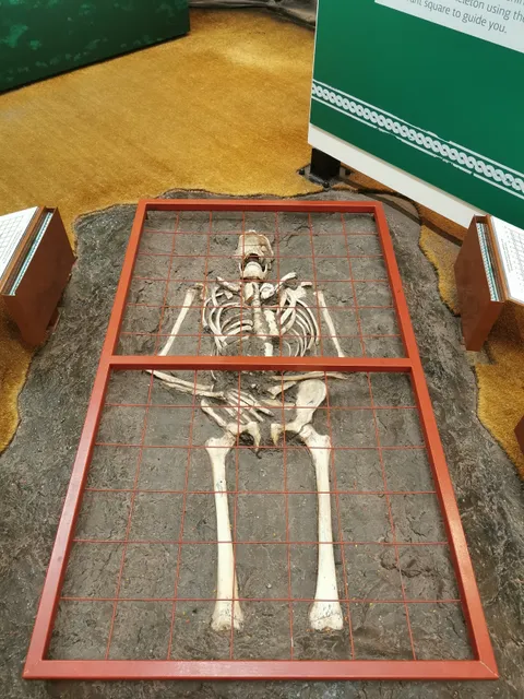 photo-2