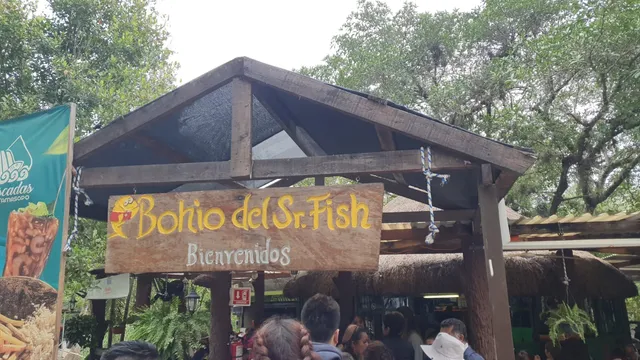 Bohio Del Sr. Fish
