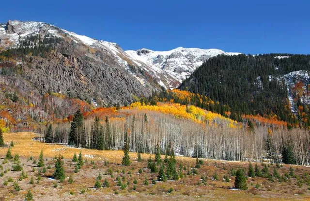 San Juan National Forest