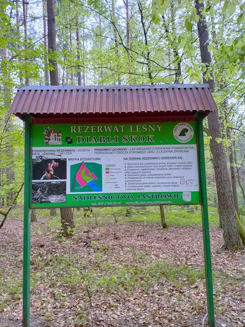 Rezerwat przyrody Diabli Skok