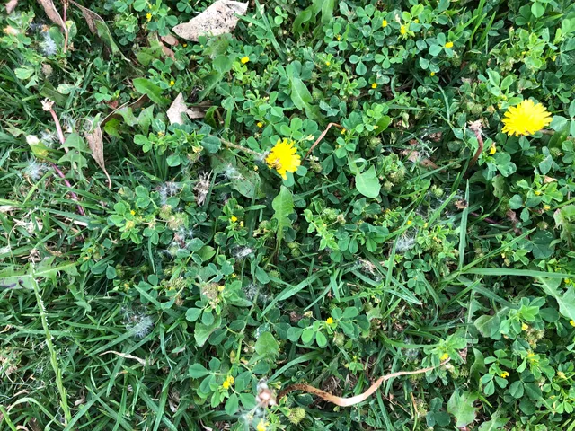 photo-3