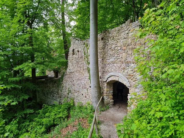 Burgruine Rottenburg