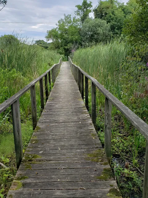 Great Flats Nature Trail