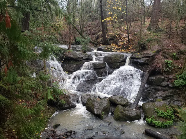 Cedar Mill Falls