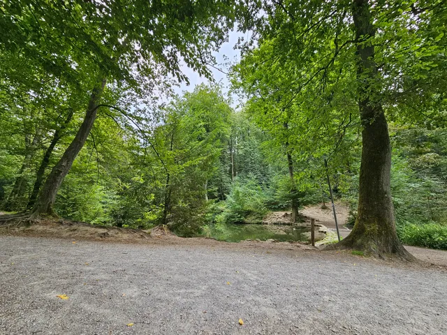 Wildgehege Witthausbusch