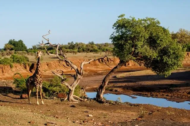 Mashatu Game Reserve