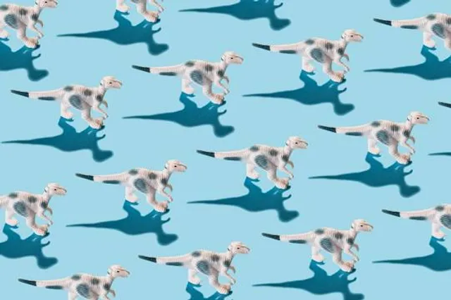 Museo de la Colonización