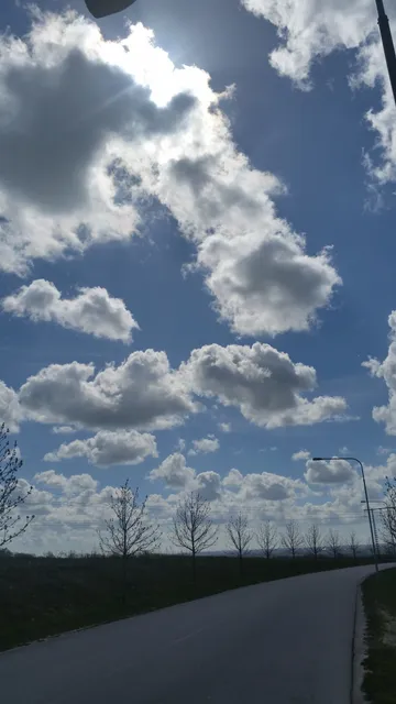 photo-1