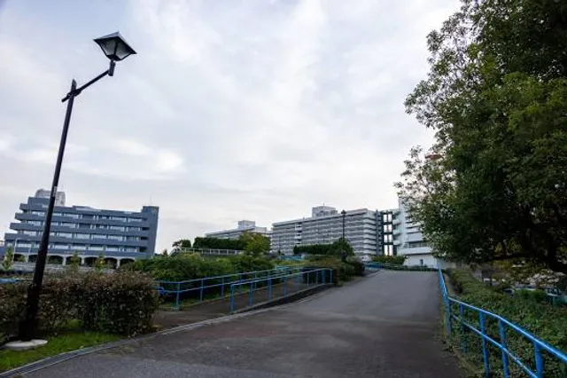 photo-1