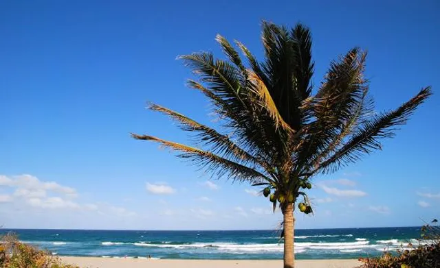 Spanish River Beach Access