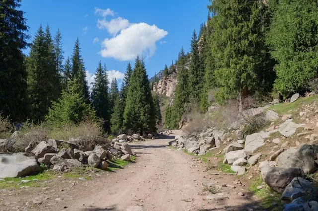 Alta-Brighton Trailhead