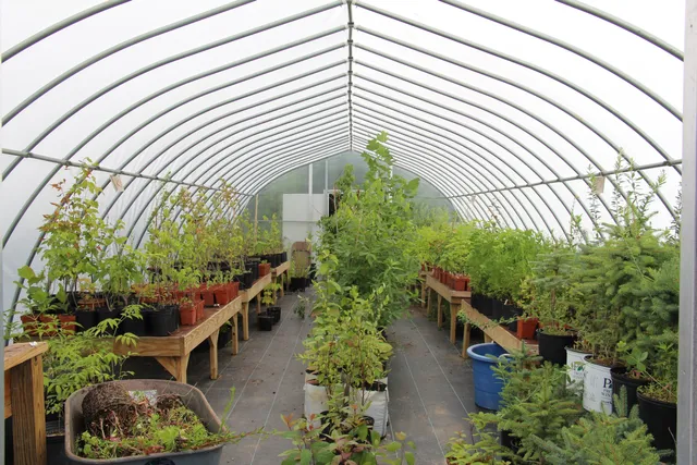 J.C. Reuthinger Memorial Preserve