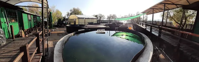 Sea Turtle Rescue Centre