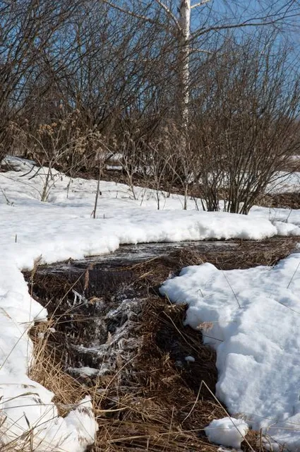 Schoolhouse Brook Park