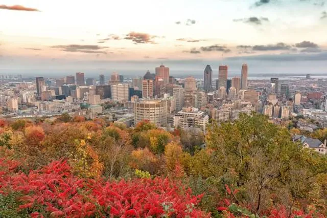 Mount Royal Park