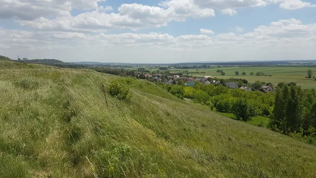 Rezerwat przyrody Skowronno