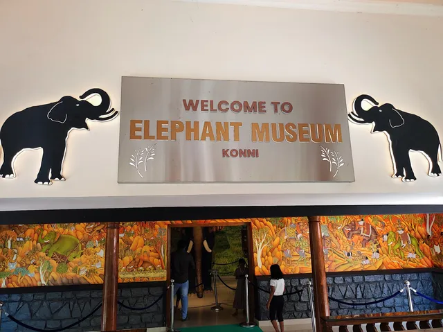 Elephant Safari, Training Centre & Elephant Museum, Konni