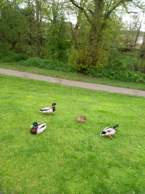 Demesne Mill Picnic Area