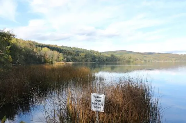 Eifel-Blick: "Die Hohe"