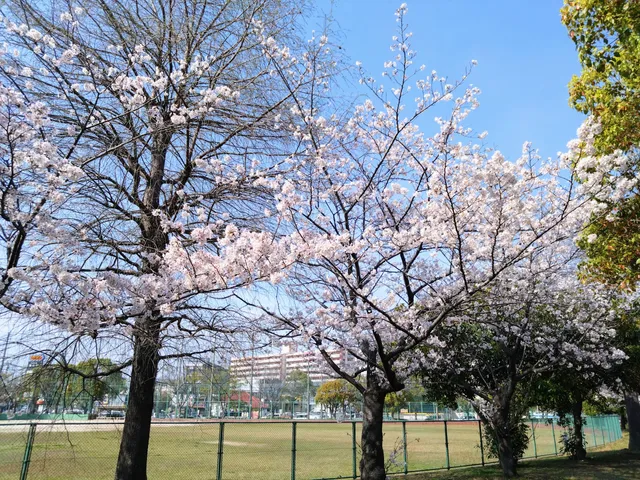 Hakozaki Park
