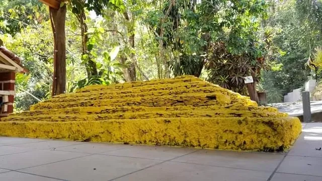 Temático y Restaurante Alma de Montaña Park