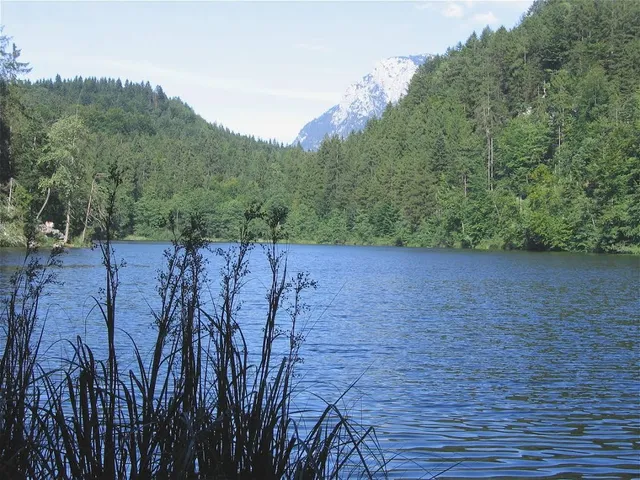 Längsee