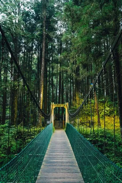Salbari Park, Arjundhara