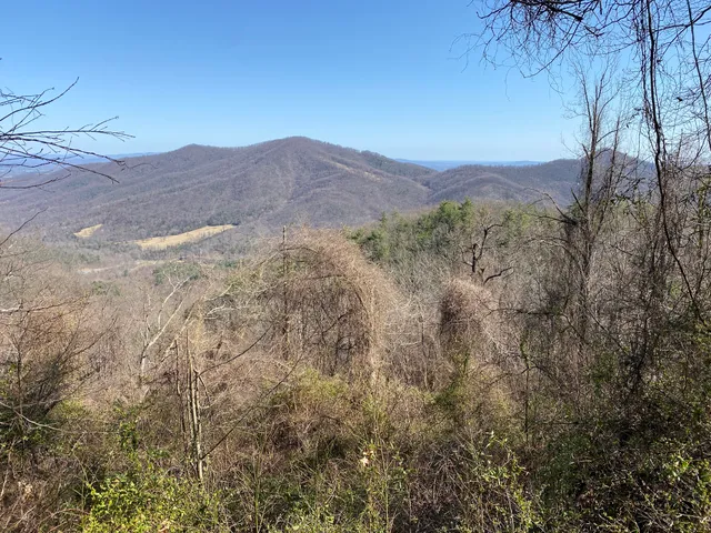Patricia Ann Byrom Forest Preserve
