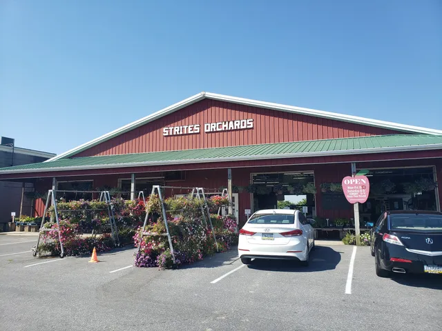 Strites Orchards