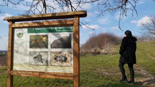 Tarpai Szőlő-hegy tanösvény