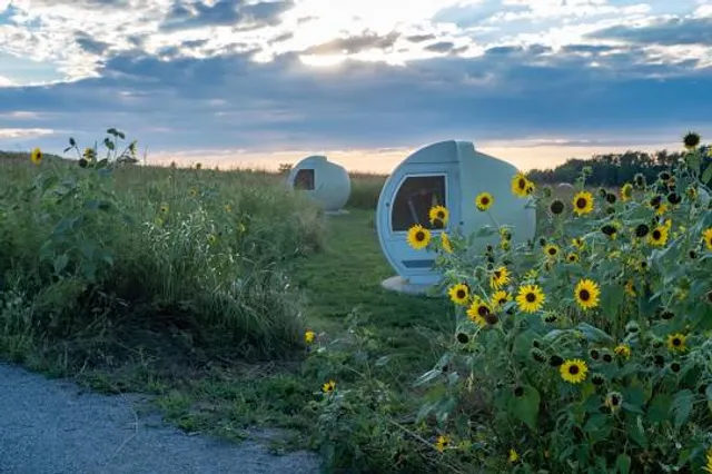 Frédéric-Back Park