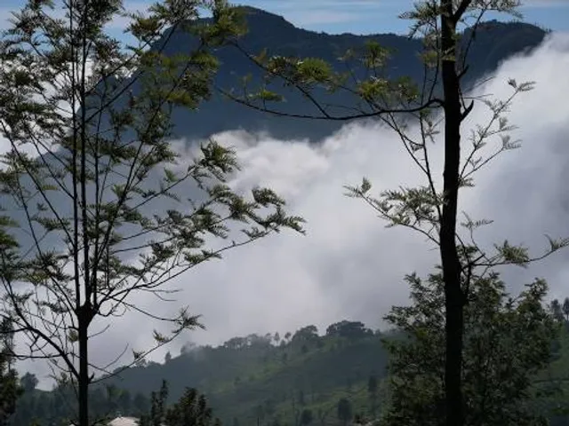 Hidden Valley Coonoor